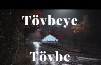 Tövbeye Tövbe Et! | Üstad Saadetperver